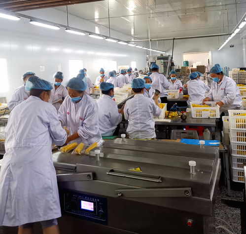 通化海关高效服务办实事 首单助力企业产品快速出口